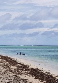 Île de Rarotonga