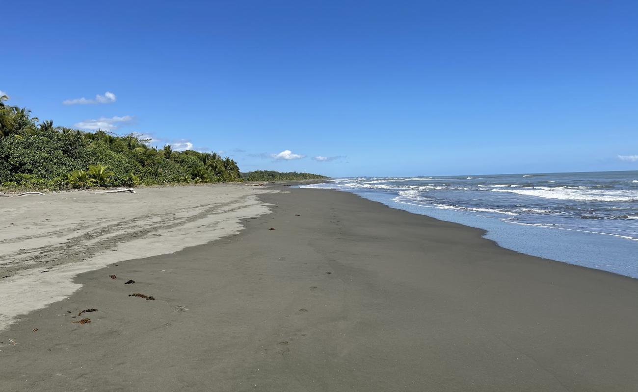 Photo de Palmeras beach avec sable gris de surface