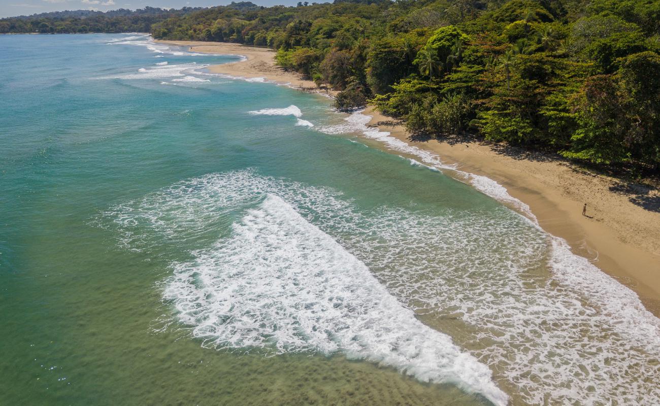 Photo de Cocles beach avec sable lumineux de surface