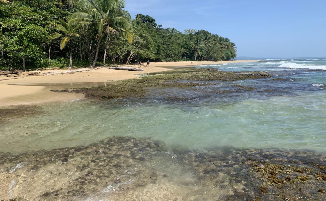 Photo de Chiquita beach avec sable lumineux de surface