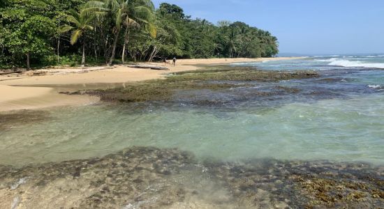 Chiquita beach