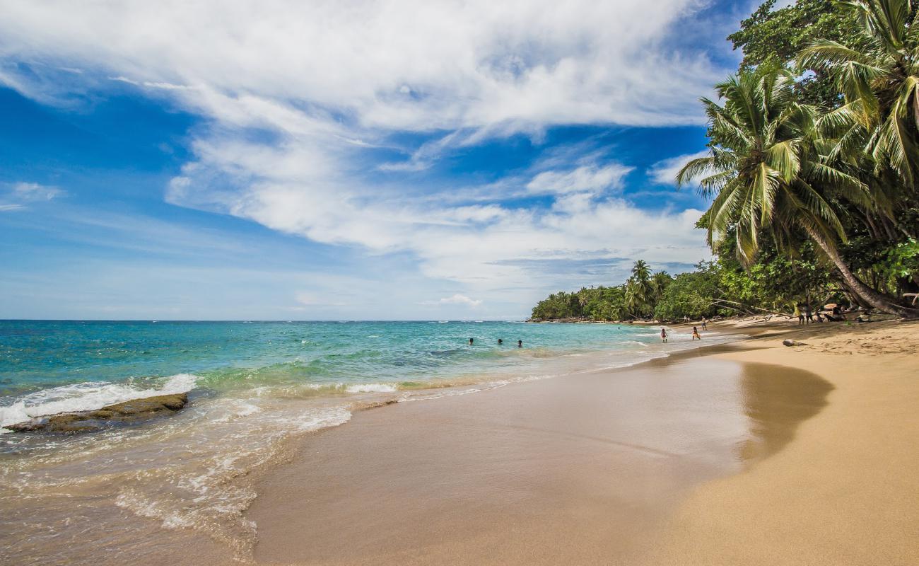 Photo de Punta Uva beach avec sable fin et lumineux de surface