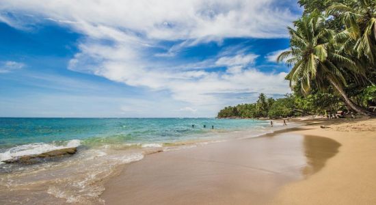 Punta Uva beach