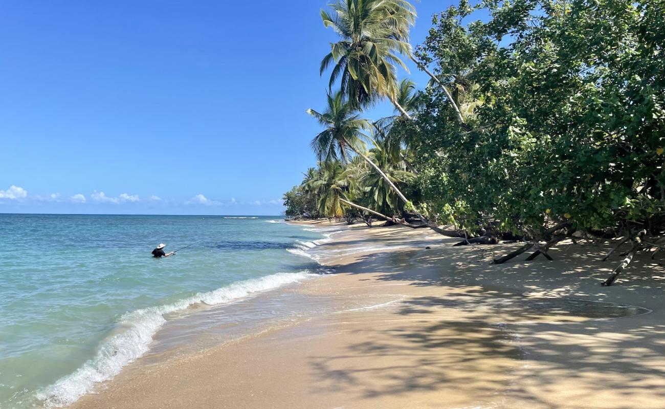 Photo de Plage de Punta Uva II avec sable fin et lumineux de surface