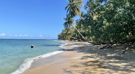 Plage de Punta Uva II