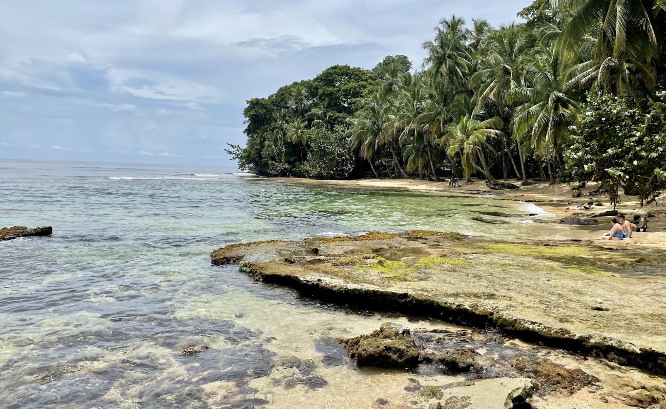 Photo de Punta de Vista beach avec sable brillant et rochers de surface