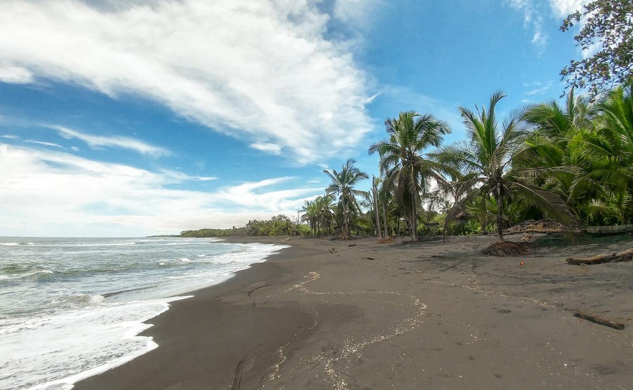 Photo de Gandoca beach avec sable noir de surface