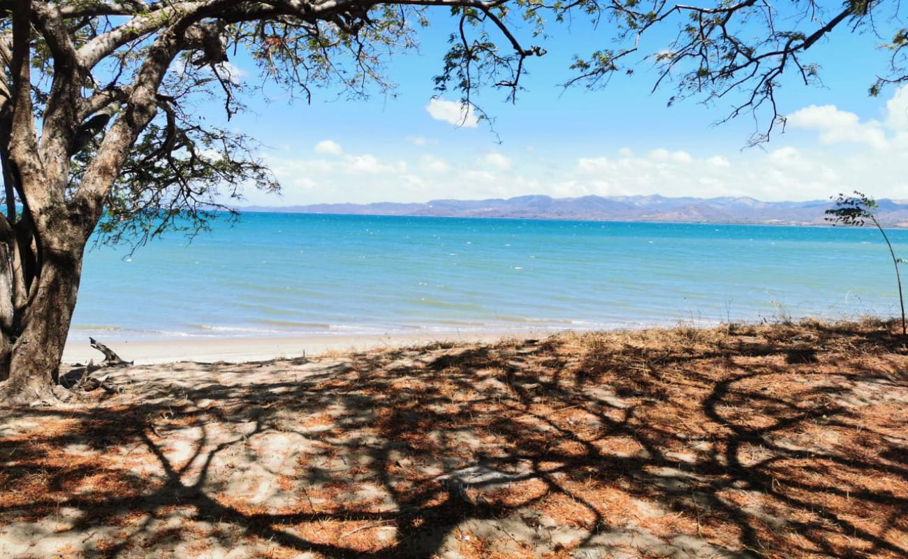 Photo de Morro beach avec sable beige de surface