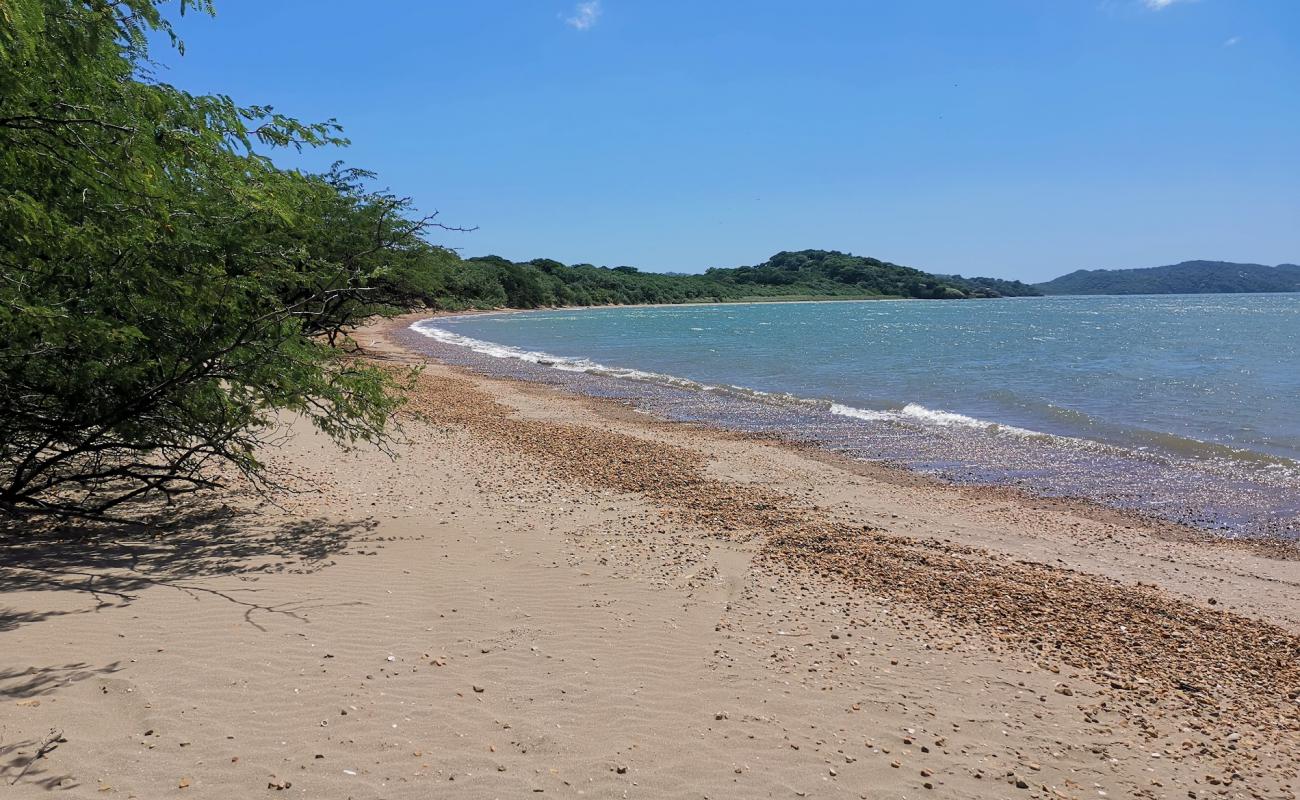 Photo de Papaturro beach avec sable clair avec caillou de surface