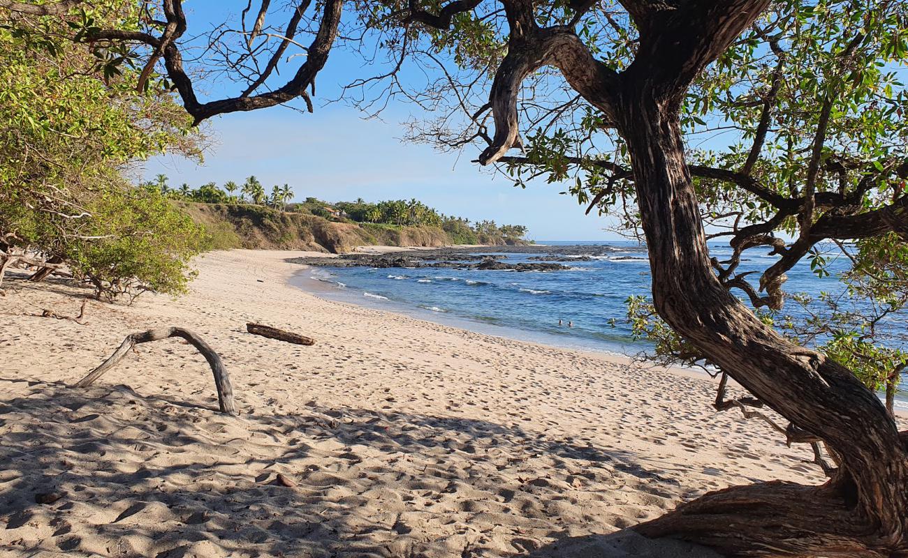 Photo de Blanca beach avec sable clair avec caillou de surface