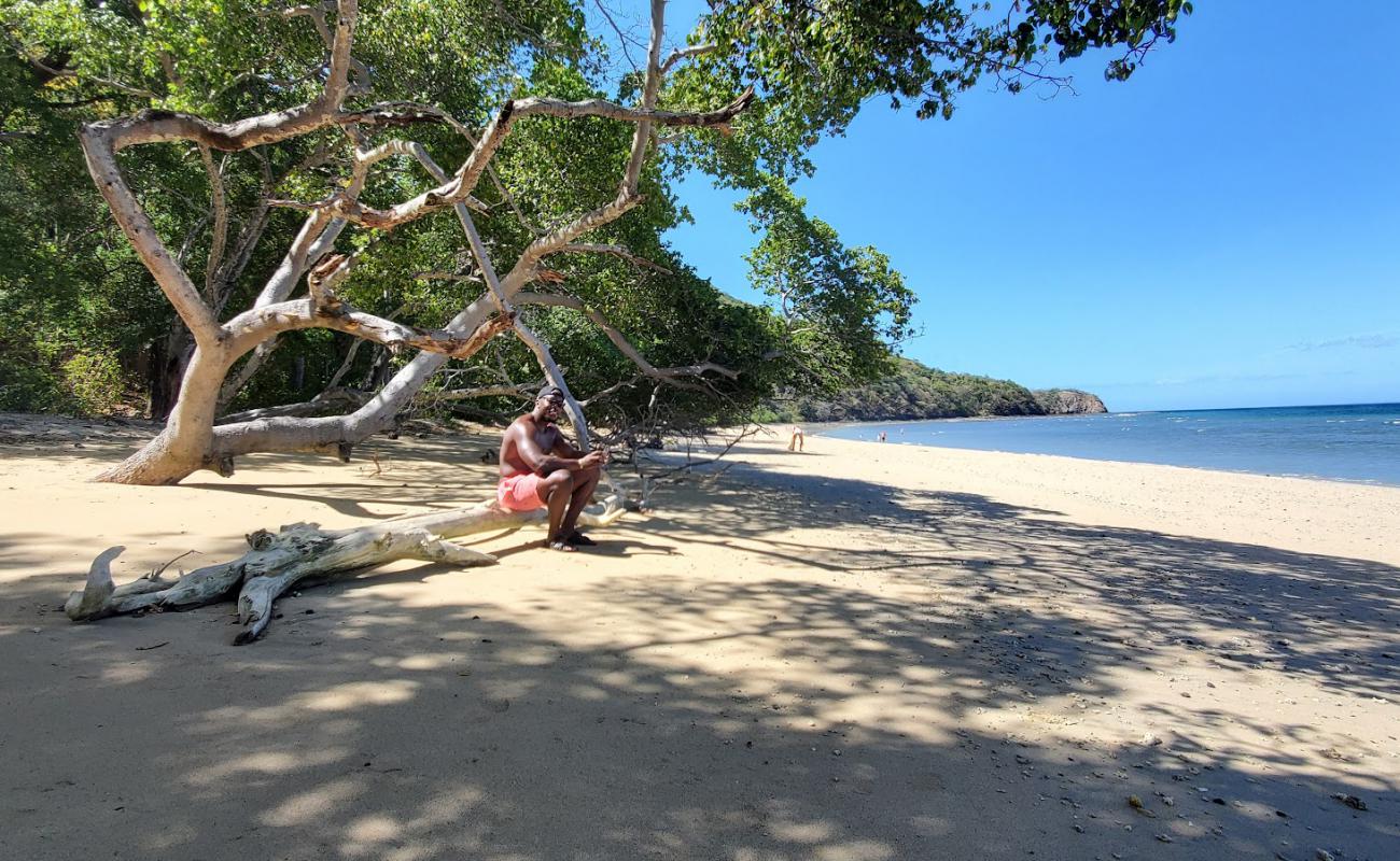 Photo de Tapustxunya Beach avec sable beige fin de surface