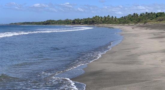 Playa Junquillal