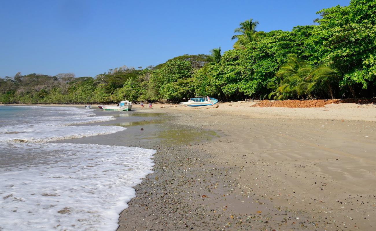 Photo de Manzanillo Beach avec sable lumineux de surface