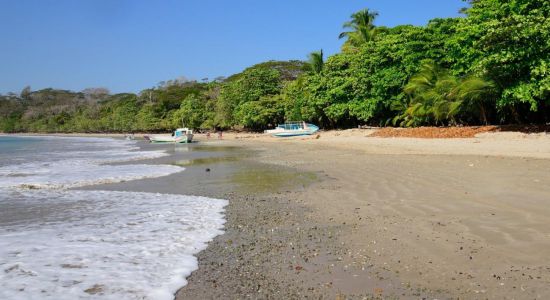 Manzanillo Beach