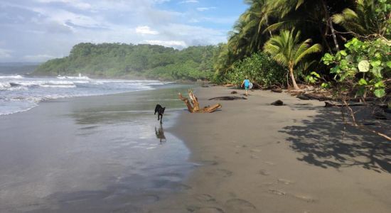 Playa Grande