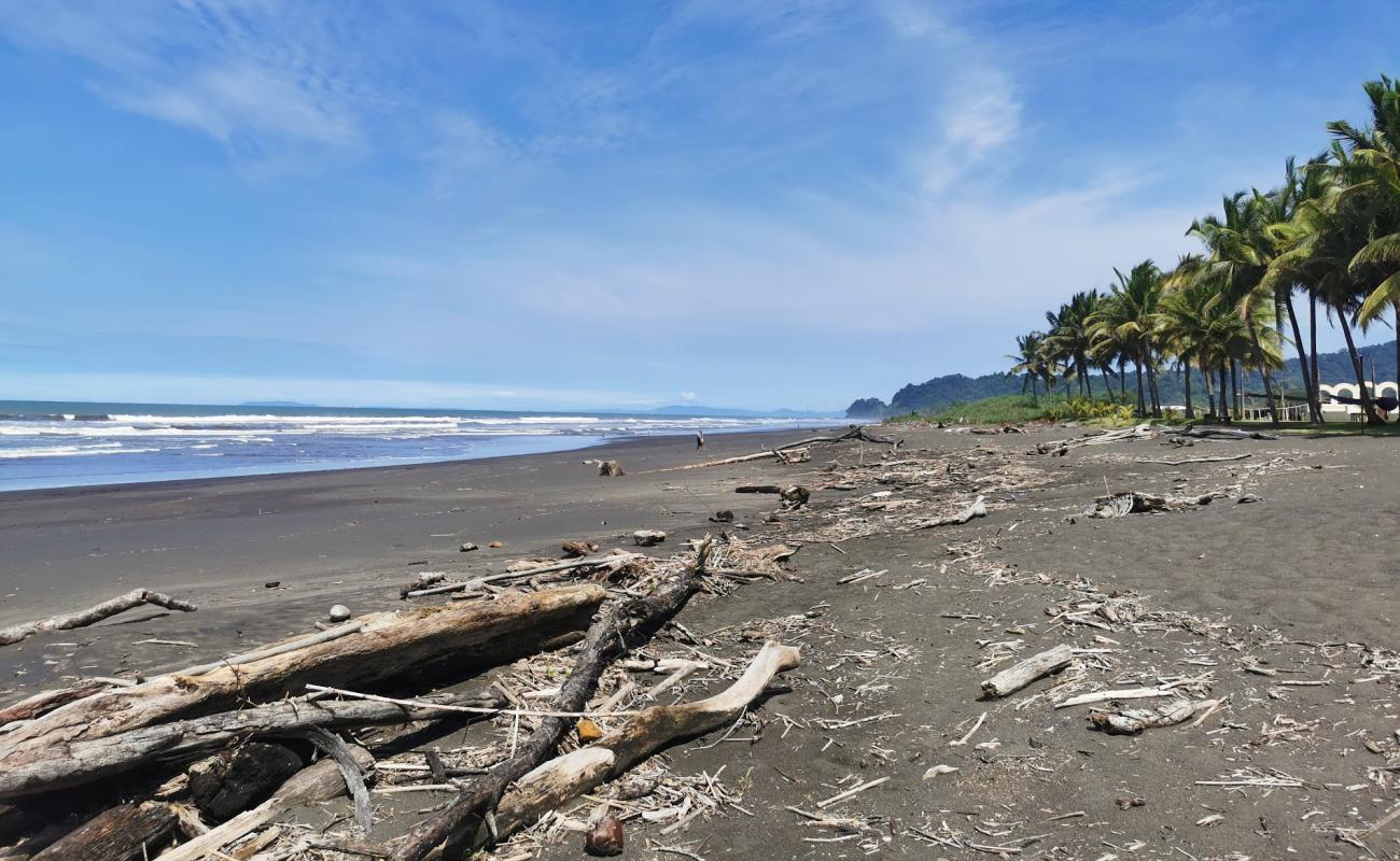 Photo de Playa Hermosa avec sable brun de surface