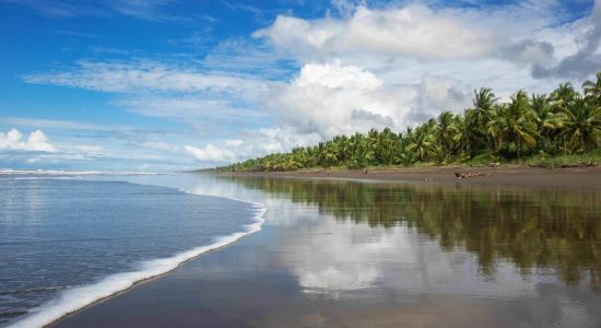 Playa Palo Seco