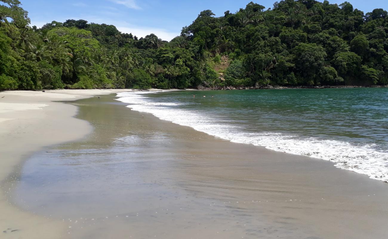 Photo de Playa Espadilla Sur avec sable beige de surface