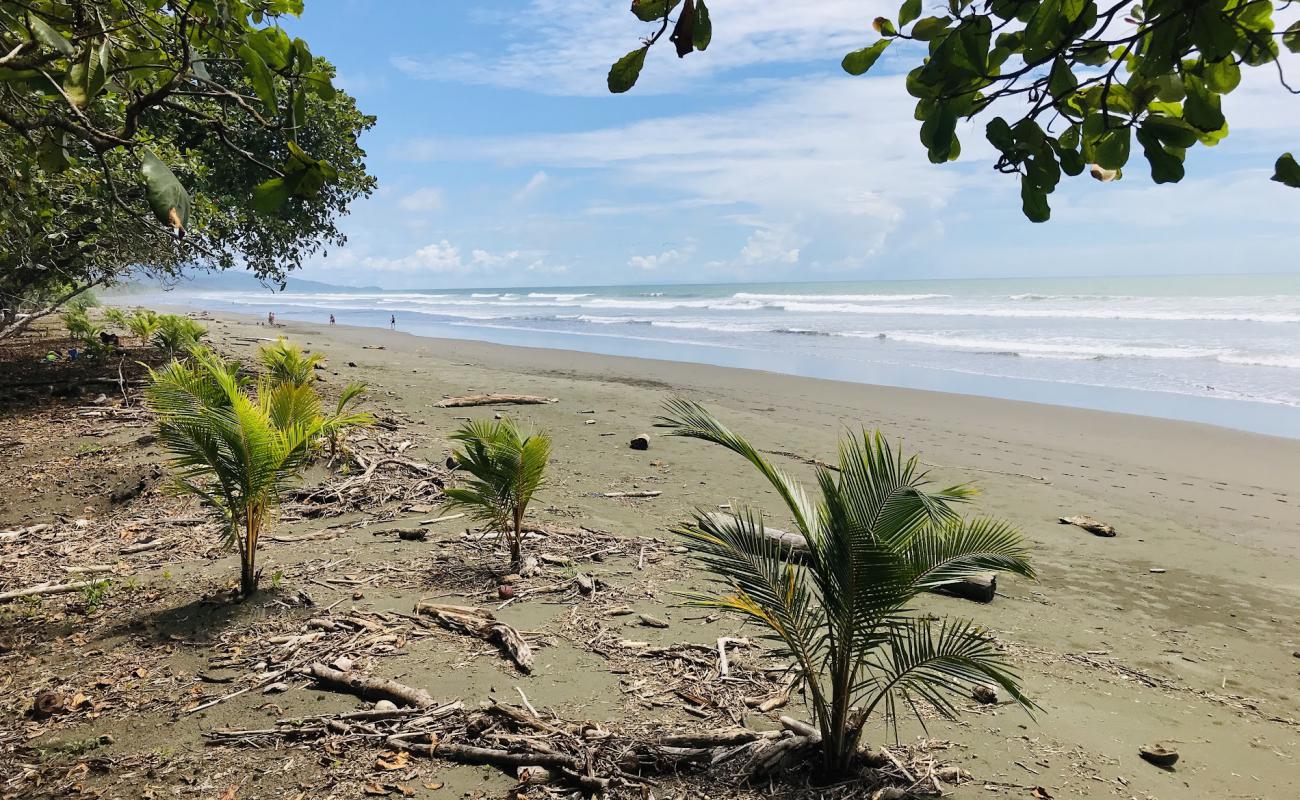 Photo de Playa Matapalo avec sable beige de surface