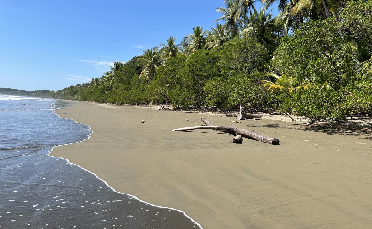 Photo de Playa Uvita avec sable beige de surface