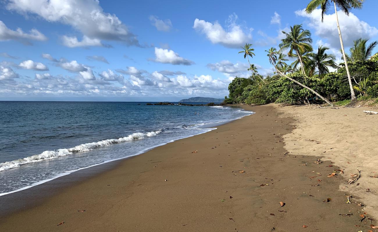 Photo de Playa Las Caletas avec sable brun de surface