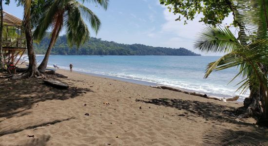 San Josecito Rincon Beach