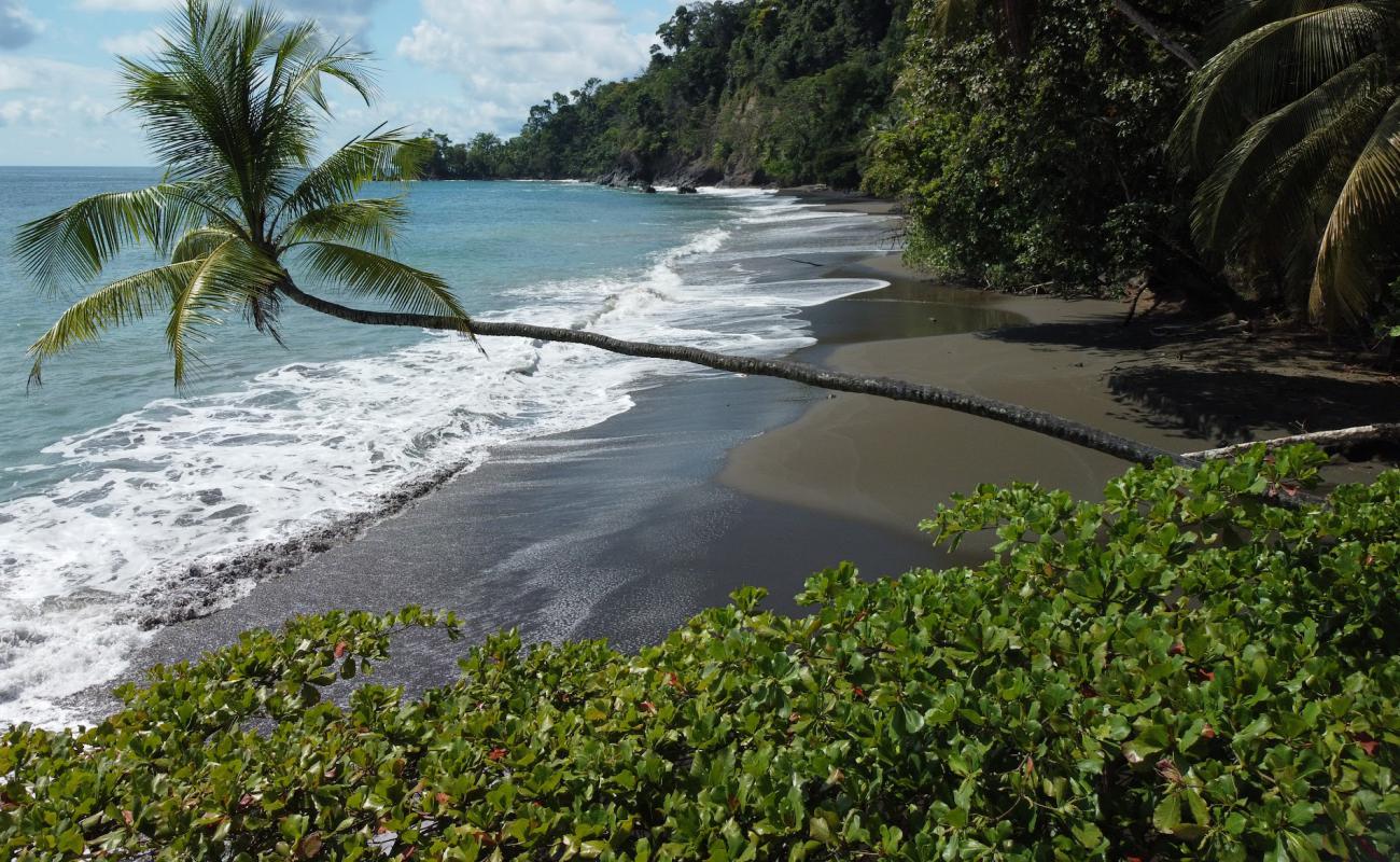 Photo de Playa San Pedrillo avec sable brun de surface