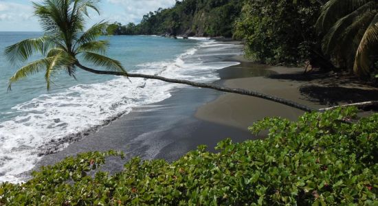 Playa San Pedrillo
