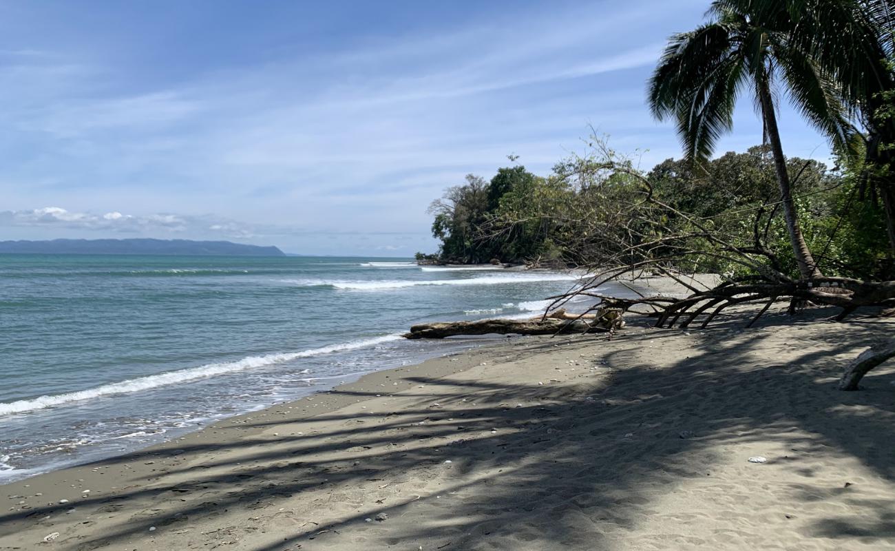 Photo de Playa Matapalo avec sable brun de surface