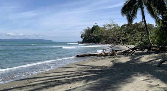 Playa Matapalo