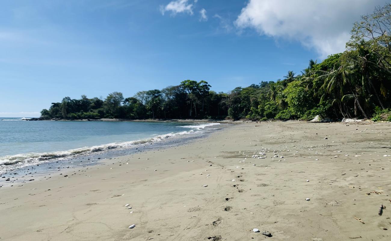 Photo de Playa Pan Dulce avec sable noir avec caillou de surface