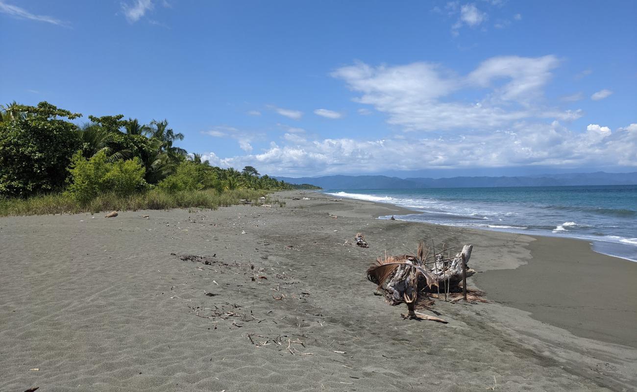 Photo de Playa Platanares avec sable brun de surface