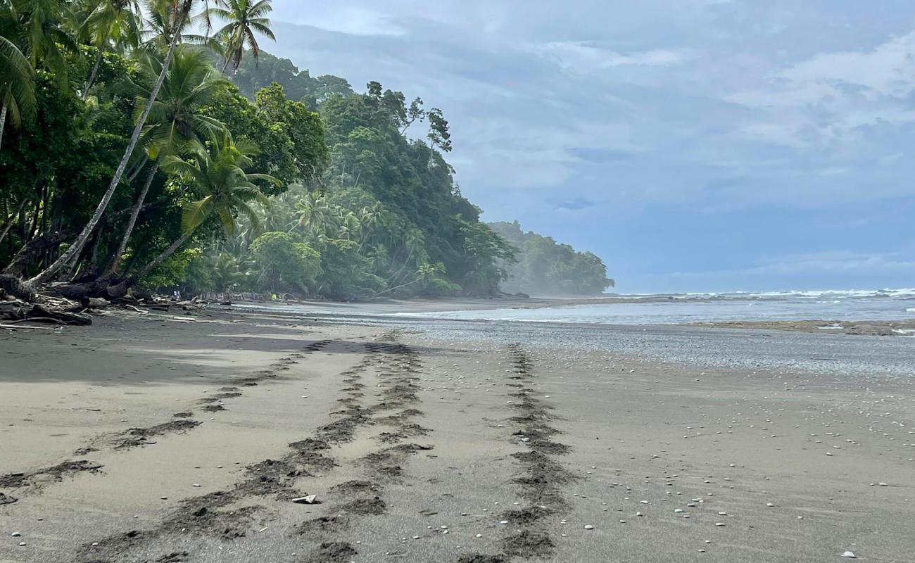 Photo de Playa Banco avec sable noir avec caillou de surface