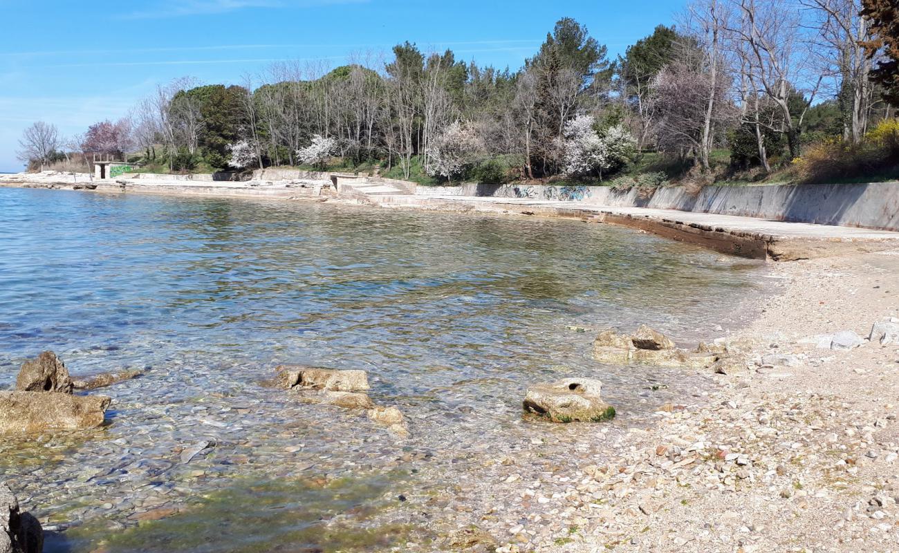 Photo de Savudrija beach avec roches de surface