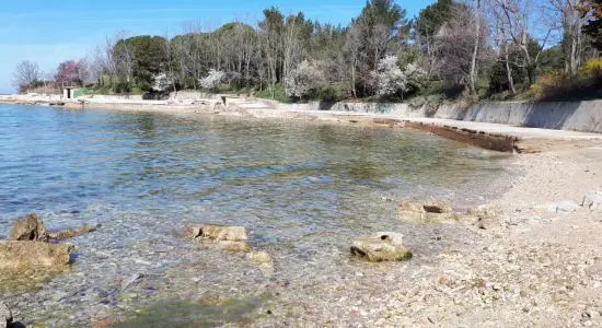 Savudrija beach