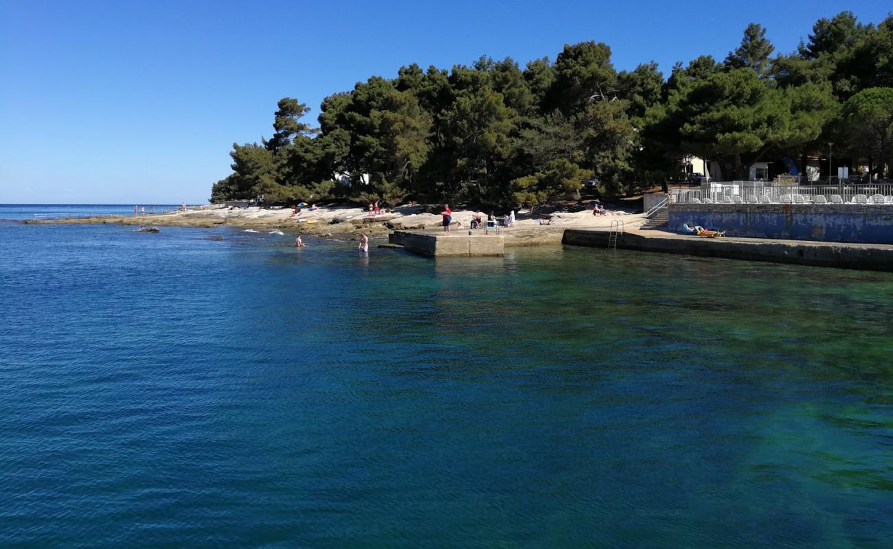 Photo de Pineta beach avec béton de surface