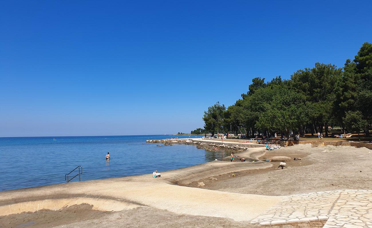 Photo de Plaza Pine avec béton de surface