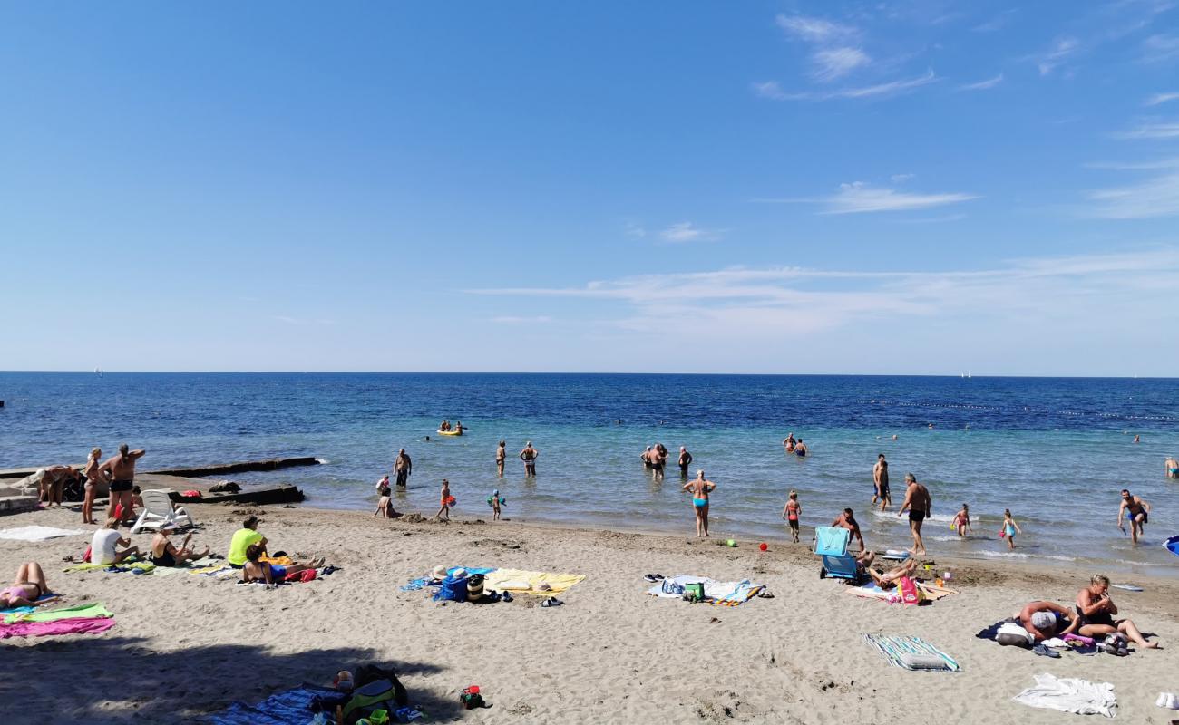 Photo de Umag Sandy beach avec béton de surface