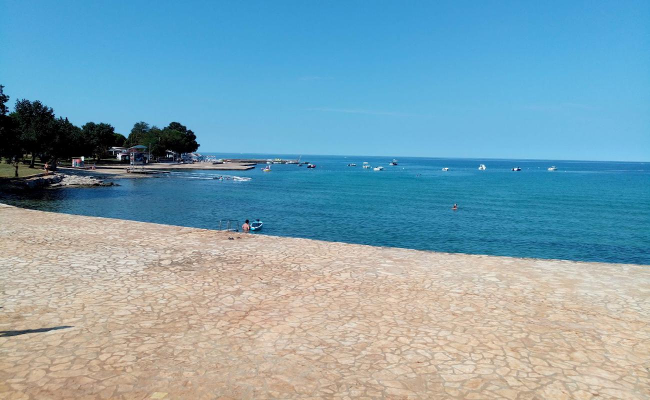 Photo de Canova Park beach avec béton de surface