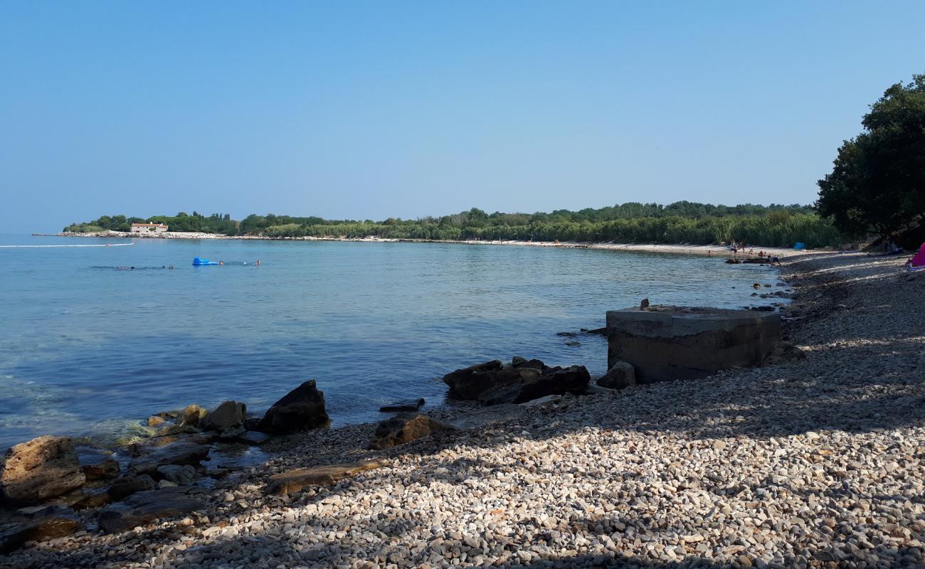 Photo de Dog Dreams beach avec galets beige de surface