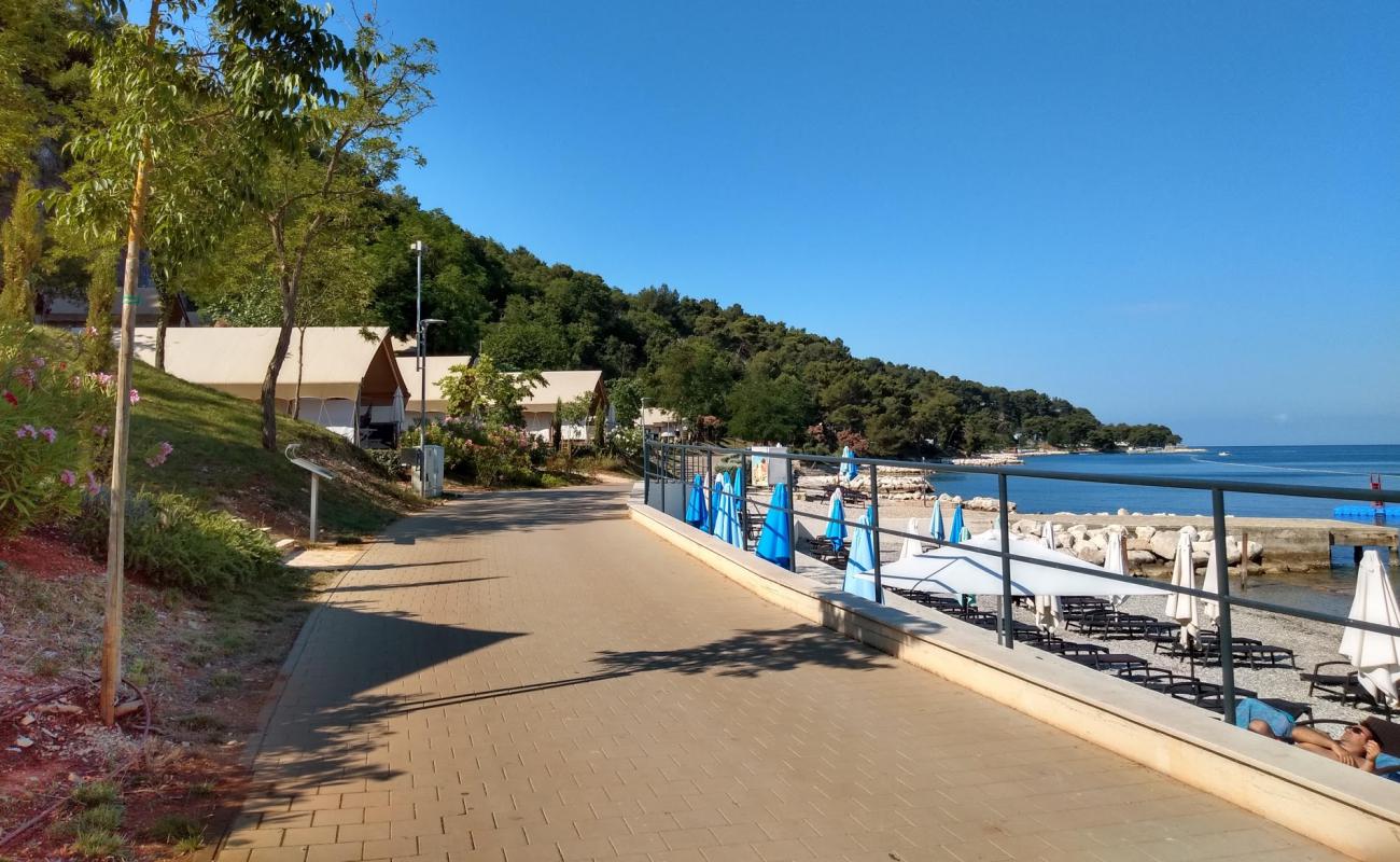 Photo de Tarska vala beach avec sable beige & galets de surface