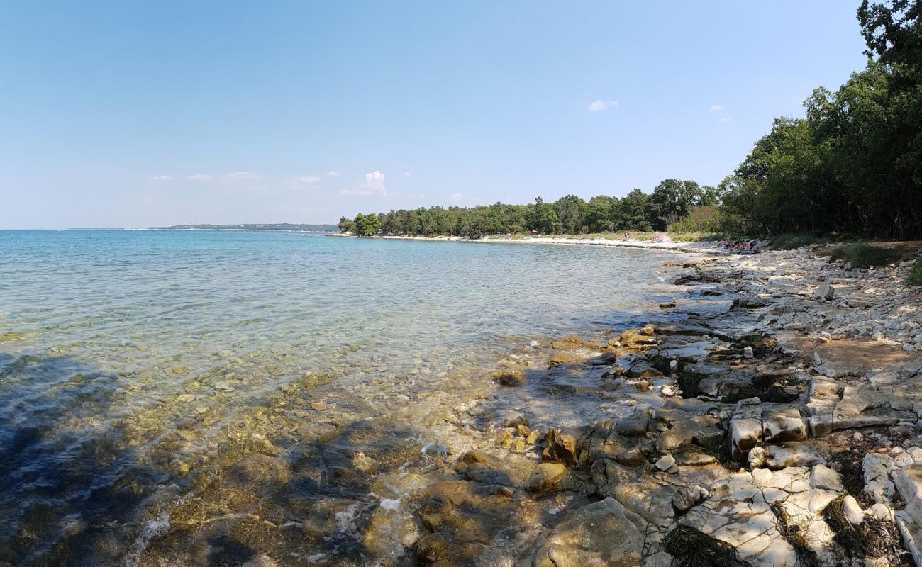 Photo de Plicina beach avec roches de surface