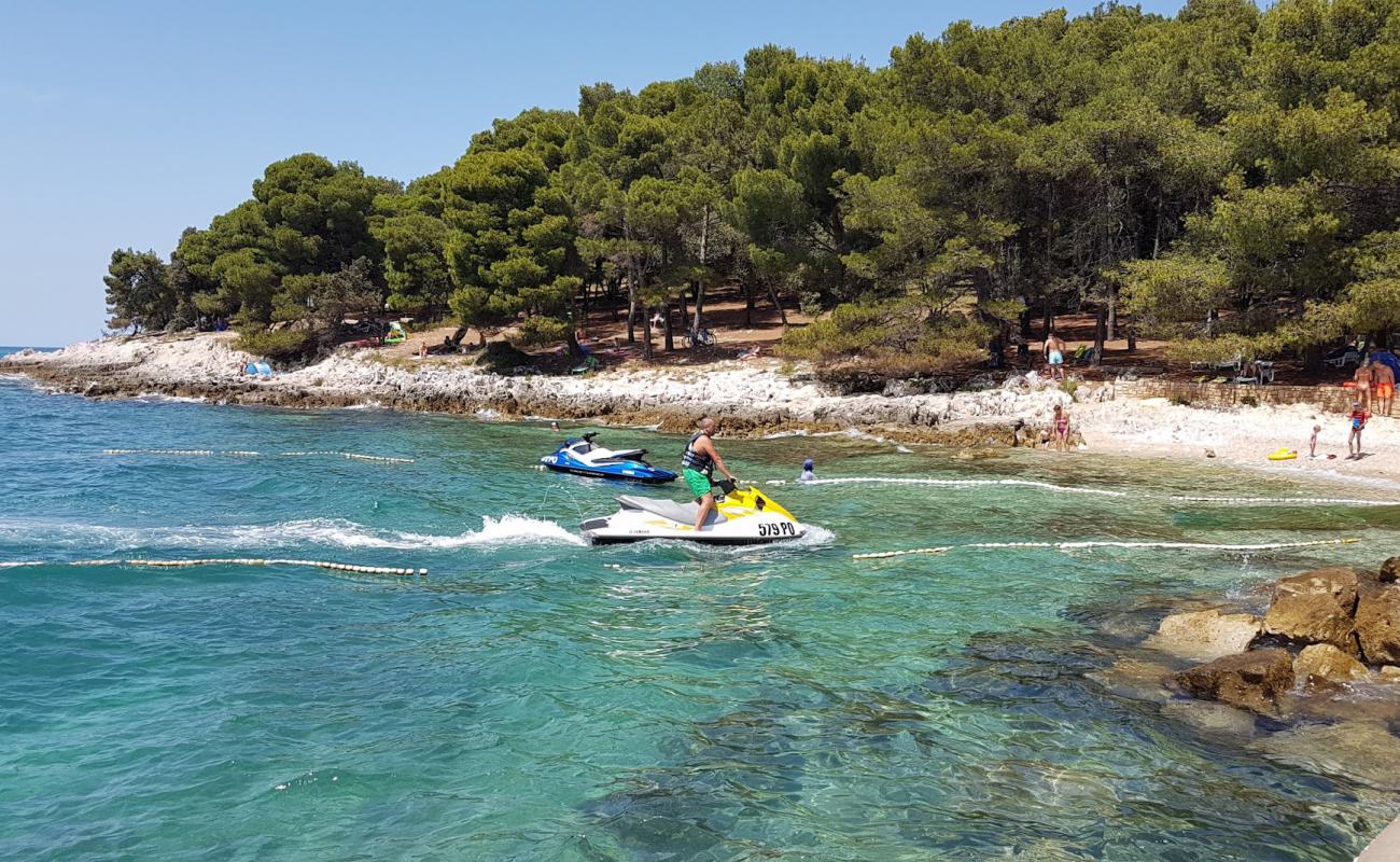 Photo de Hotel Delfin beach avec sable noir & galets de surface