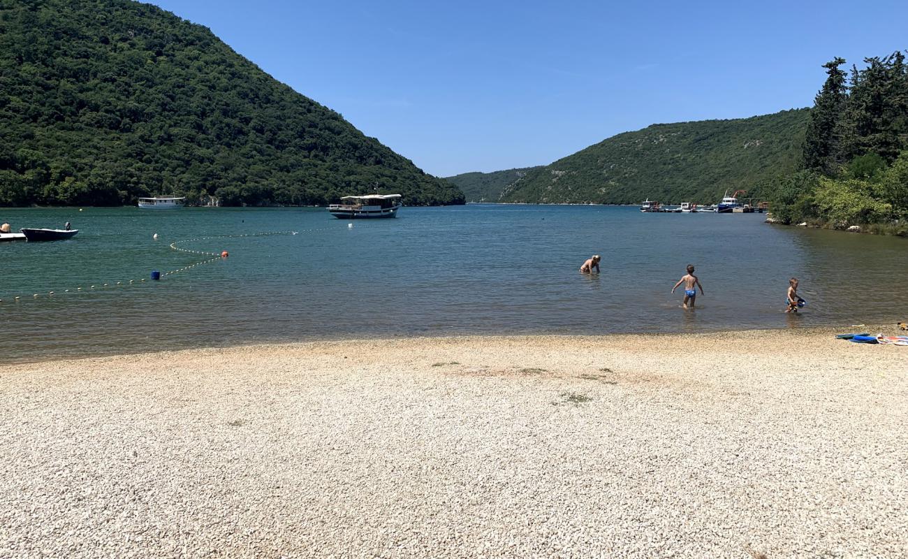 Photo de Fjord beach avec caillou fin brun de surface