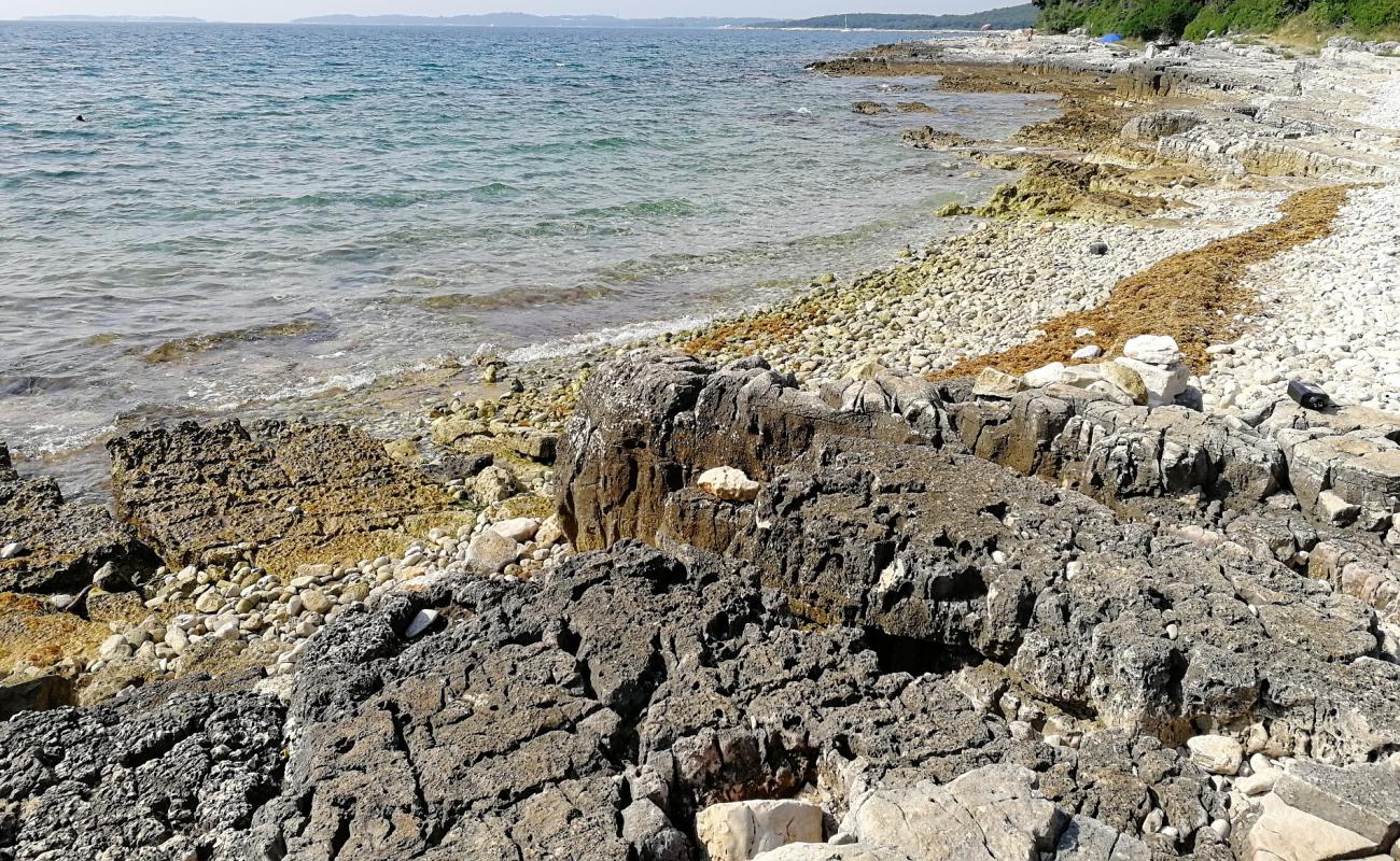 Photo de Coala beach avec roches de surface