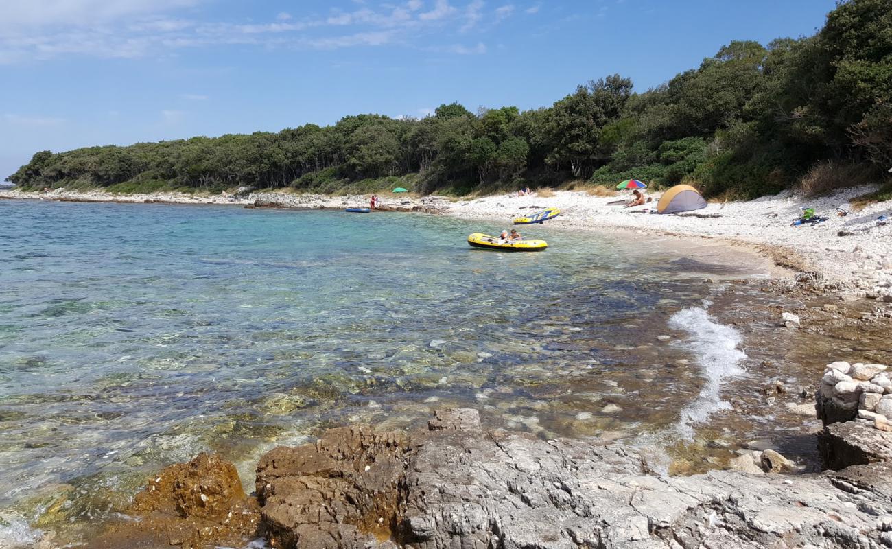 Photo de Plyazh Palud avec roches de surface