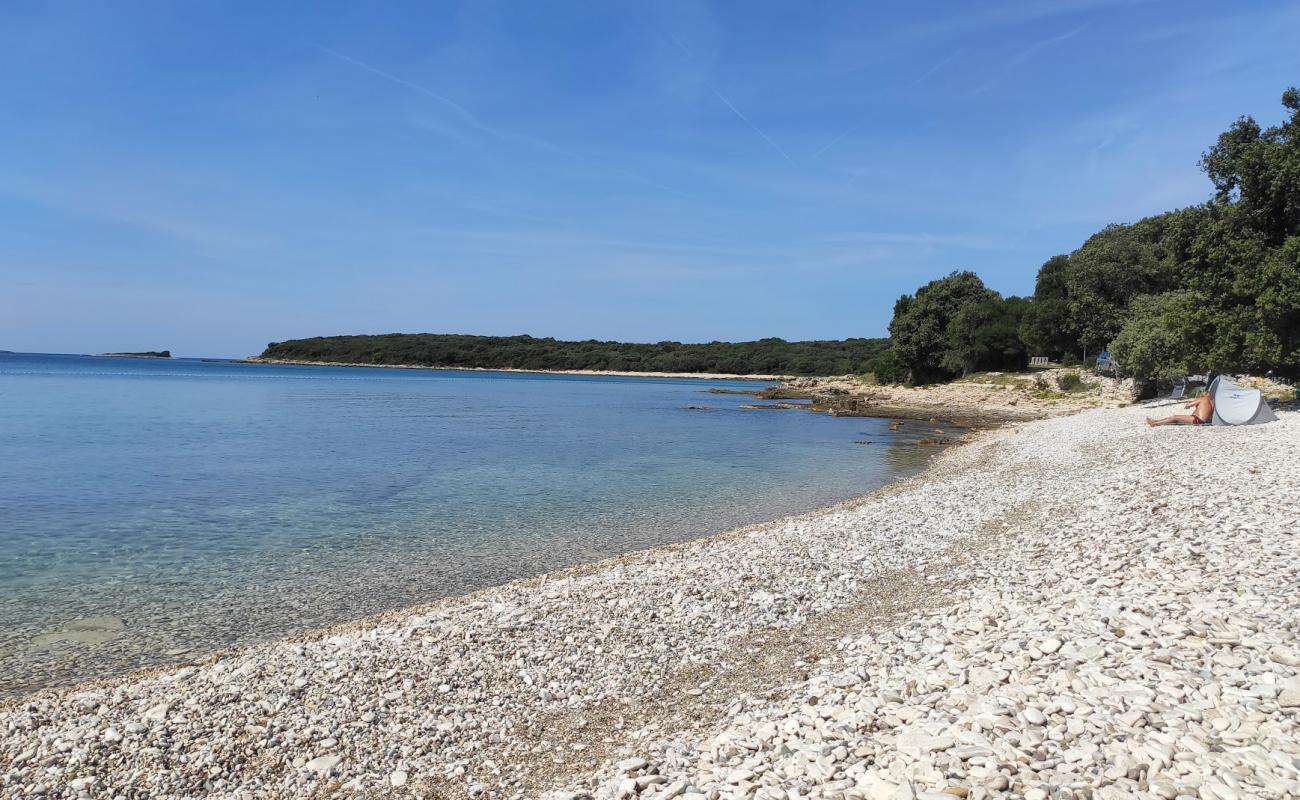 Photo de Bale beach avec caillou blanc de surface