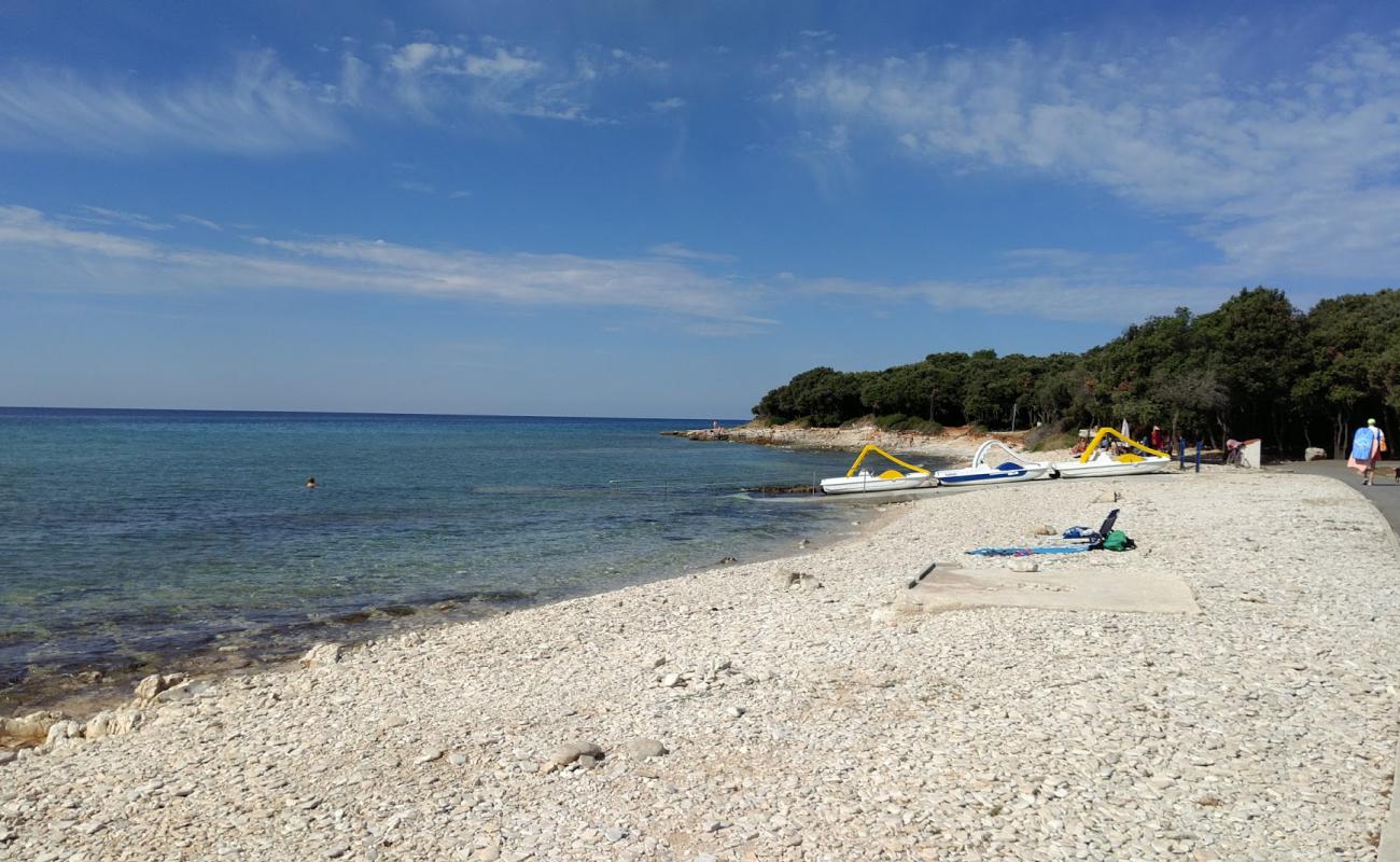 Photo de Barbariga beach avec roches de surface