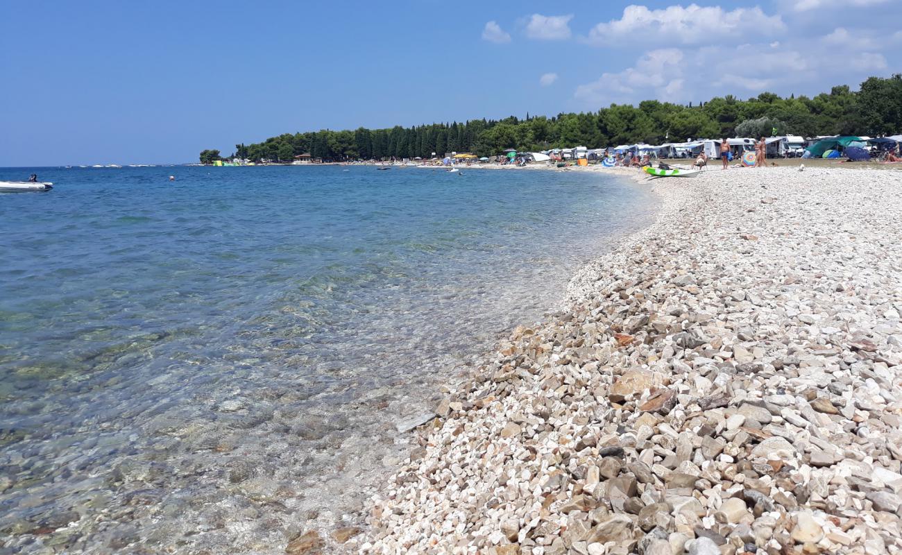 Photo de AC Pineta beach avec caillou clair de surface