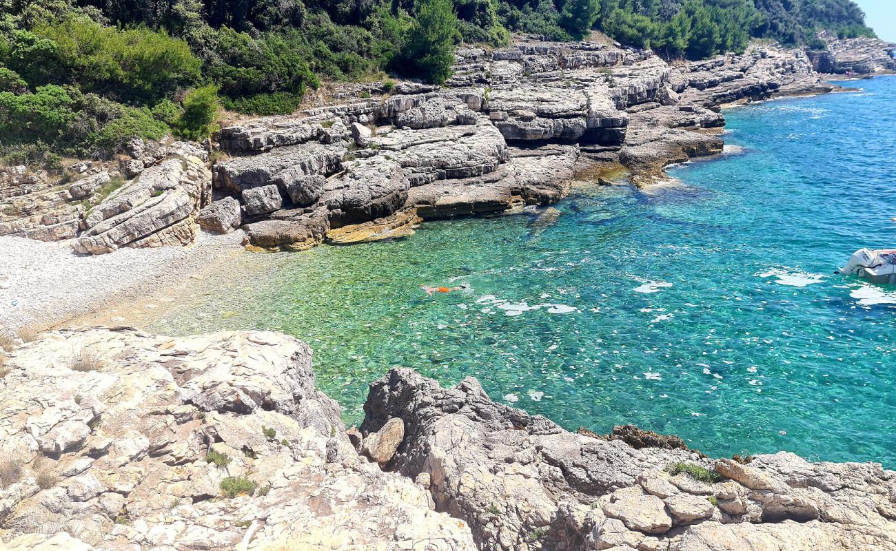 Photo de Jamica beach avec galets blancs de surface